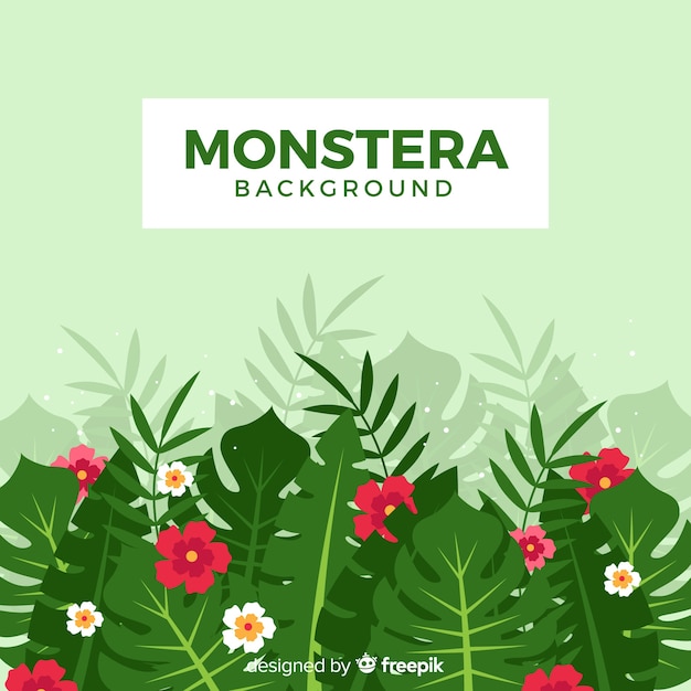 Vecteur gratuit feuilles de monstera