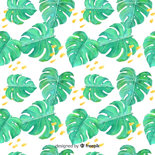 Vecteur gratuit feuilles de monstera