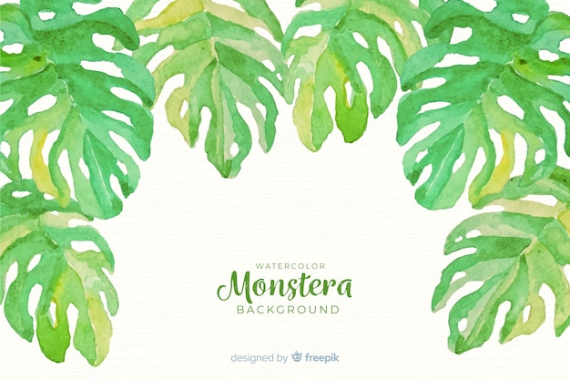 Vecteur gratuit feuilles de monstera