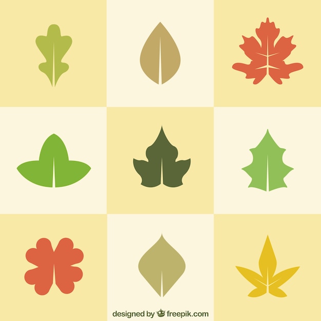 Vecteur gratuit feuilles naturelles en design plat