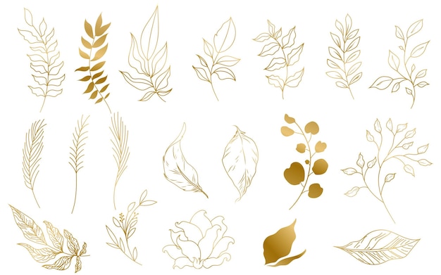 feuilles de plantes dessinées à la main en or