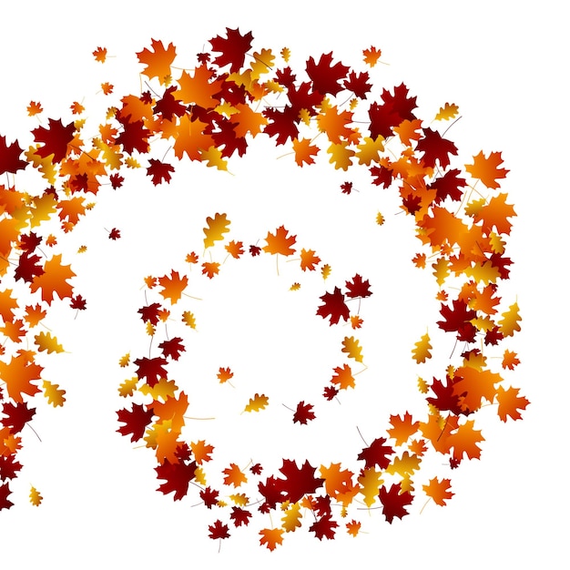 Feuilles de tourbillon d'automne.