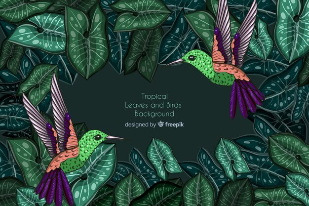 Feuilles tropicales et fond colibri