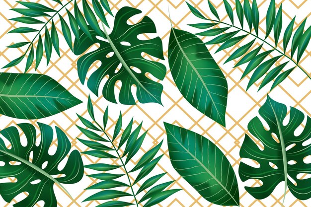 Feuilles tropicales avec fond géométrique