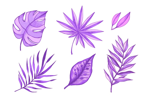 Feuilles tropicales violettes monochromes