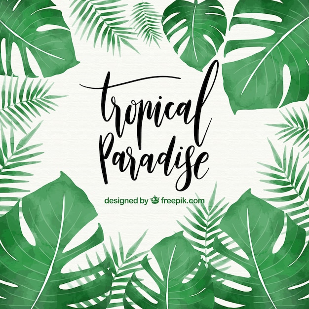 Feuilles Tropicales