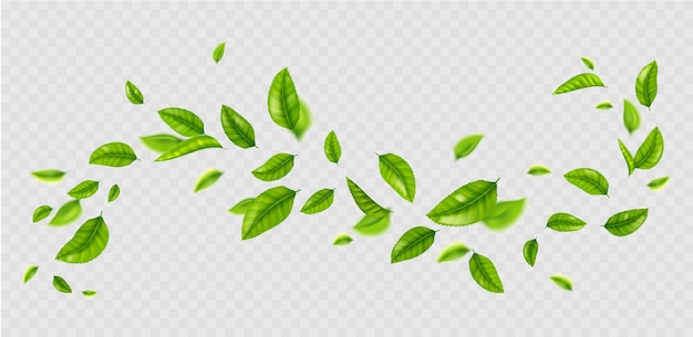 Vecteur gratuit feuilles vertes fraîches volant au vent