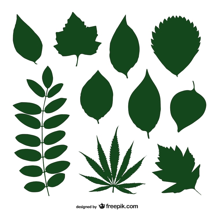 Vecteur gratuit feuilles vertes silhouette collection vecteur