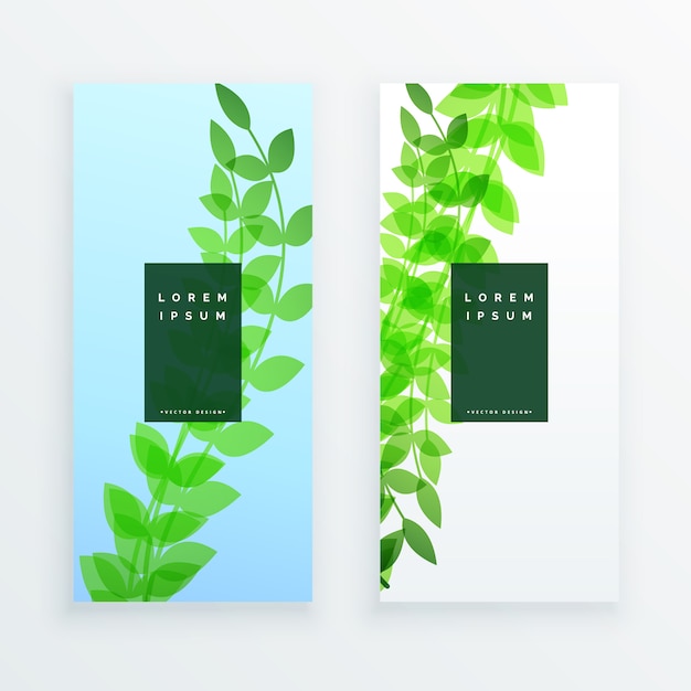 Vecteur gratuit feuilles vertes verticales bannière design