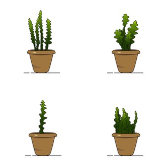 Fishbone cactus plante vector illustration design moderne avec des couleurs contemporaines
