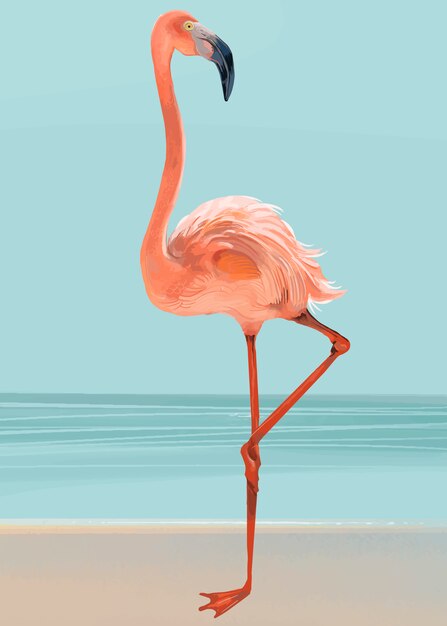 Flamant rose dessiné à la main