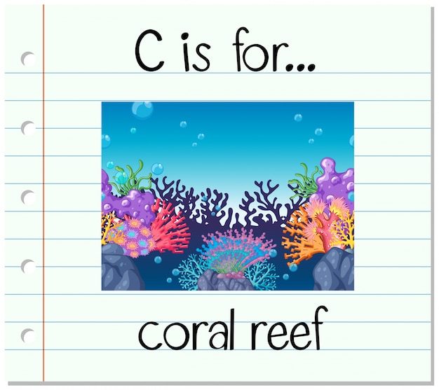 Flashcard Lettre C Est Pour Récif De Corail