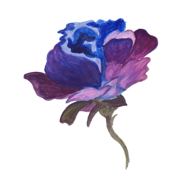 Vecteur gratuit fleur abstraite élément bleu violet aquarelle fond illustration haute résolution photo gratuite