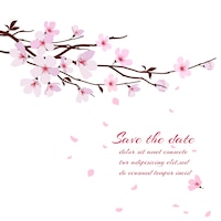 Fleur de cerisier, branche de sakura à fleurs roses. modèle de carte de voeux