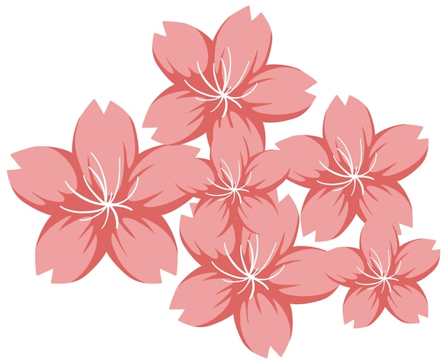 Fleur De Cerisier Ou Sakura En Style Cartoon Isolé