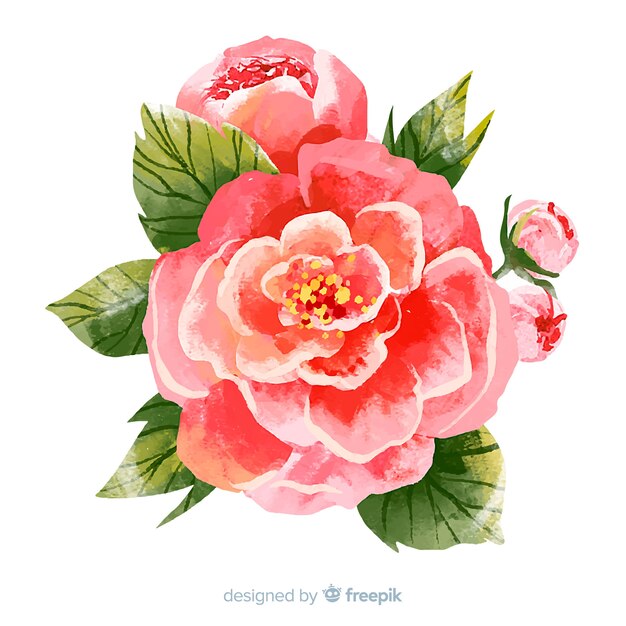 Fleur de corail aquarelle colorée