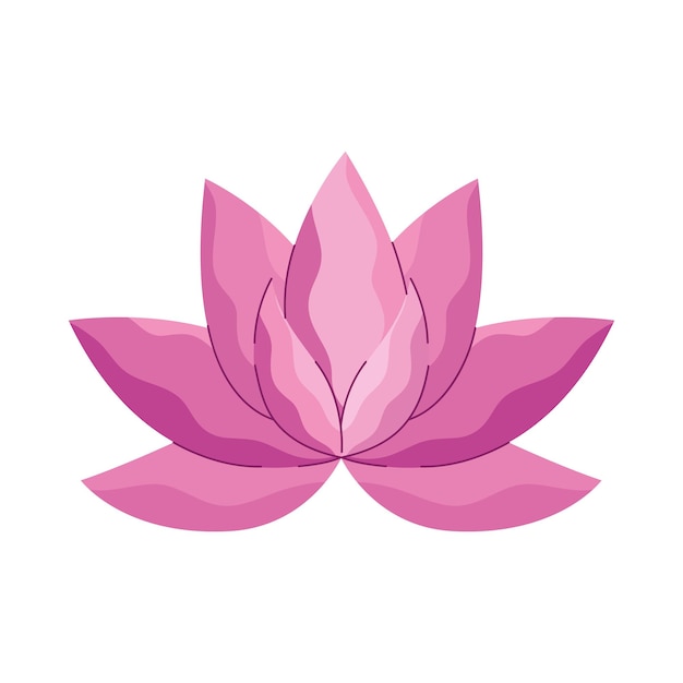 Vecteur gratuit fleur de lotus rose