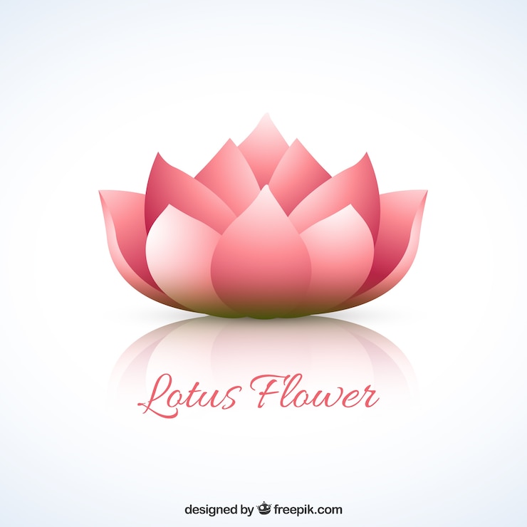 Vecteur gratuit fleur de lotus