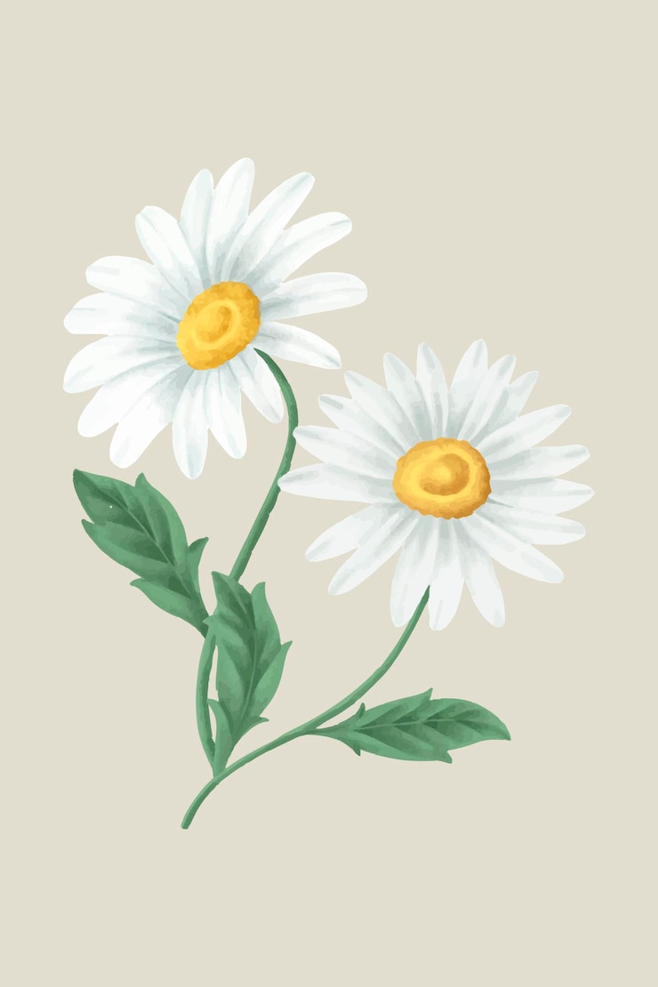 Vecteur gratuit fleur de marguerite vintage