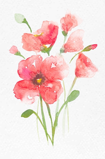 Fleur de pavot rose aquarelle vecteur printemps graphique saisonnier