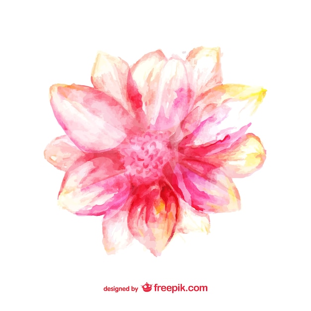 Vecteur gratuit fleur rose carte d'aquarelle