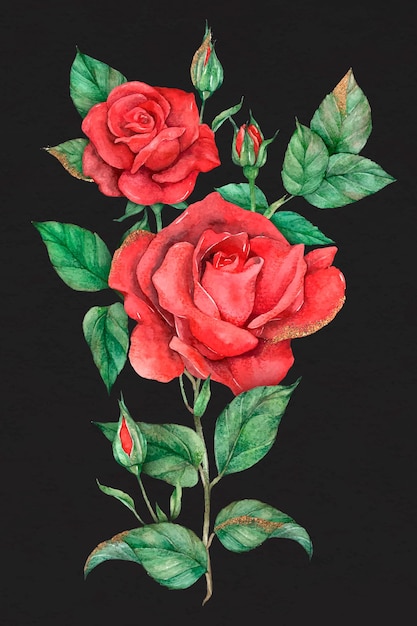 Fleur Rose Rouge Dessinée à La Main