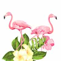 Vecteur gratuit fleur tropicale et flamants roses sur fond blanc. illustration vectorielle.