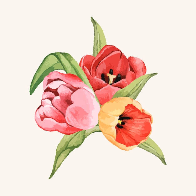 Vecteur gratuit fleur de tulipe dessinés à la main isolé