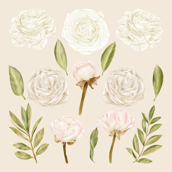 Fleurs blanches roses et feuilles vertes