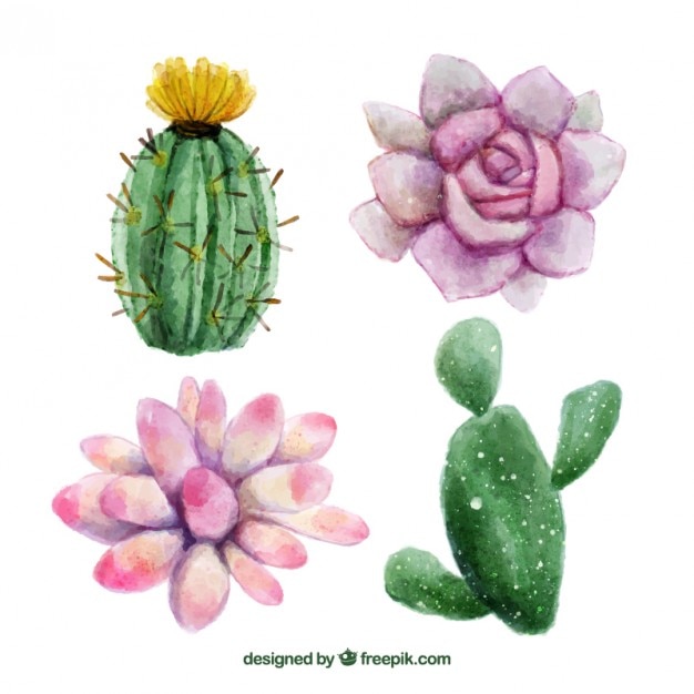 Vecteur gratuit des fleurs et des cactus peints aquarelle main