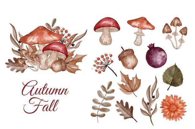 Fleurs, Feuilles Et Champignons Sur Le Thème De L'automne Clip-art Isolé