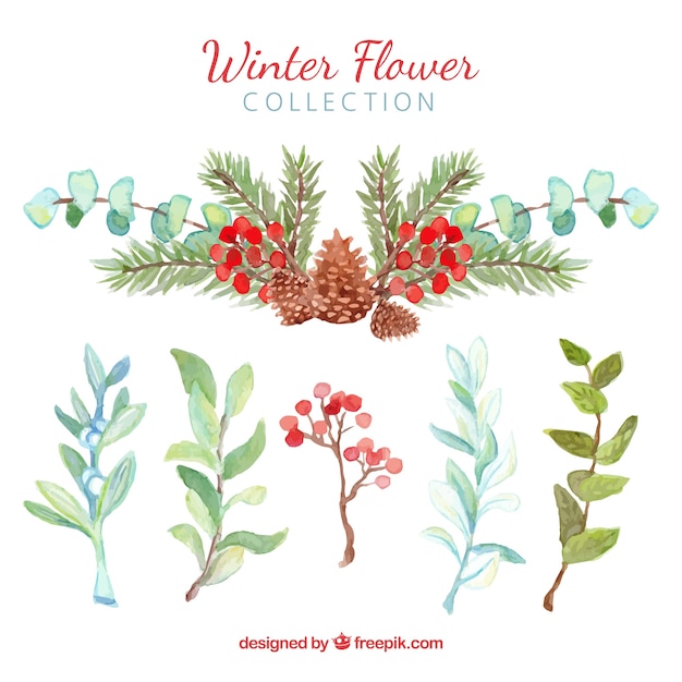 Fleurs d&#39;hiver en aquarelle verte et rouge