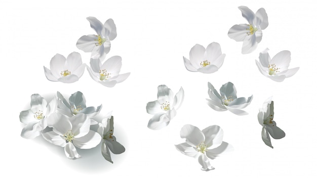 Vecteur Premium Jour Mexicain Des Maracas Morts Avec Des Fleurs Theme De La Culture Mexicaine