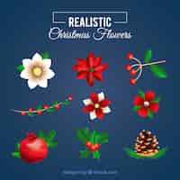 Vecteur gratuit fleurs de noël réalistes