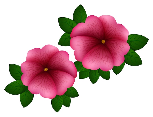 Vecteur gratuit fleurs de pétunia de couleur rose