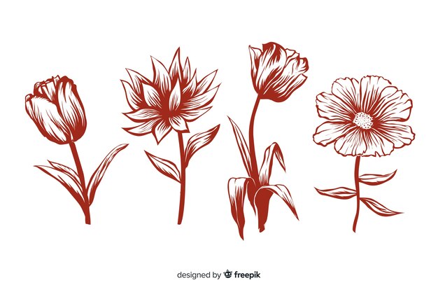 Fleurs réalistes dessinées à la main avec des tiges et des feuilles de couleurs rouges