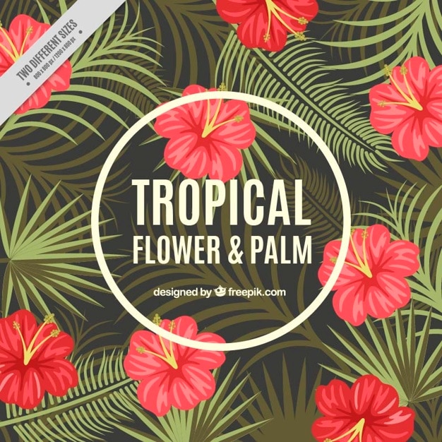 Vecteur gratuit les fleurs tropicales et des feuilles de palmier de fond