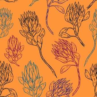 Fleurs tropicales protea. ornement de plantes exotiques. modèle sans couture de vecteur dessiné à la main. conception botanique vintage pour papier peint, impression, décor, arrière-plan, textile.