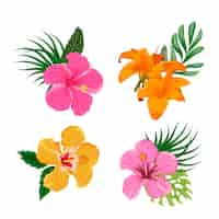 Vecteur gratuit fleurs tropicales