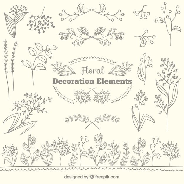 Floral Collection D'éléments Du Décor