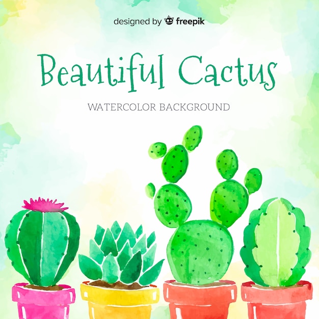 Fond Aquarelle De Cactus