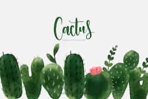 Vecteur gratuit fond aquarelle de cactus