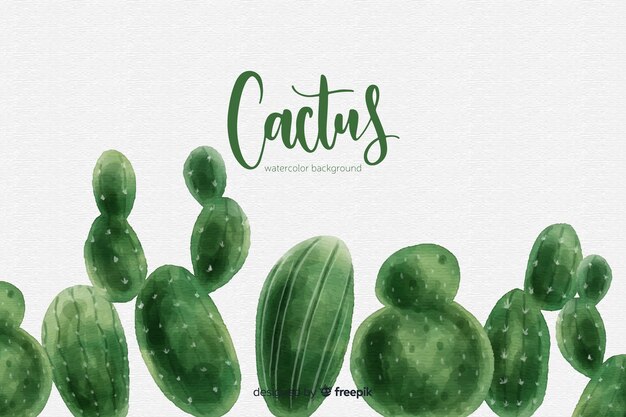 Fond aquarelle de cactus