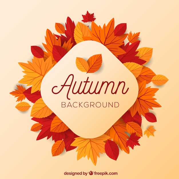 Fond d&#39;automne avec des feuilles plates