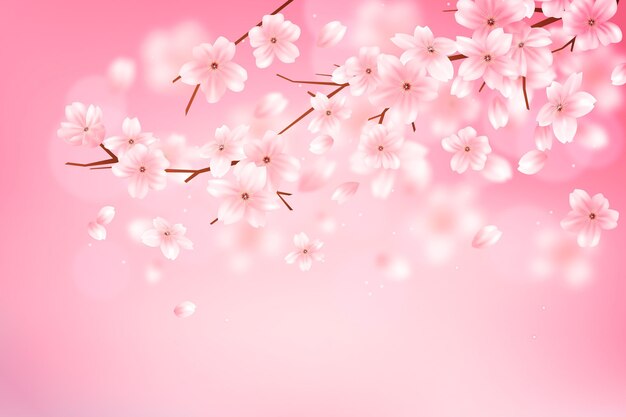 Fond de branche de fleur de sakura dégradé