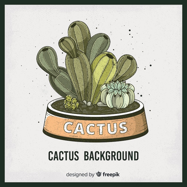 Vecteur gratuit fond de cactus dessiné à la main