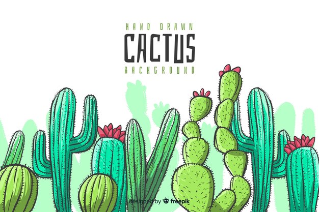 Fond de cactus dessiné à la main