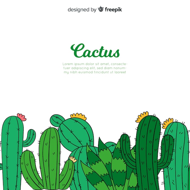 Fond De Cactus