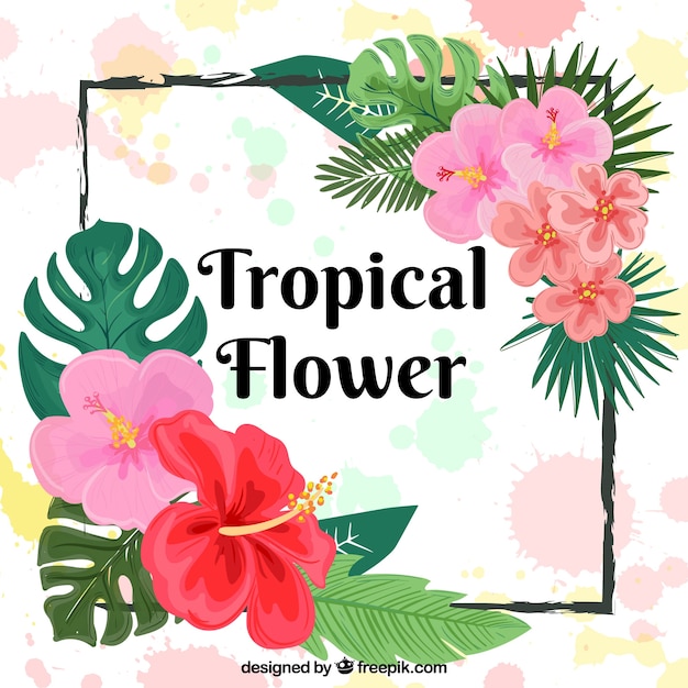 Fond De Cadre Avec Des Fleurs Tropicales