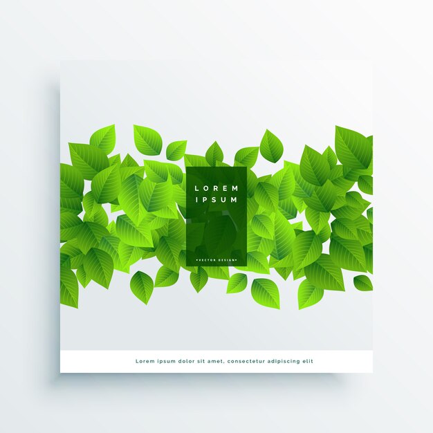 Vecteur gratuit fond de carte de feuilles vertes